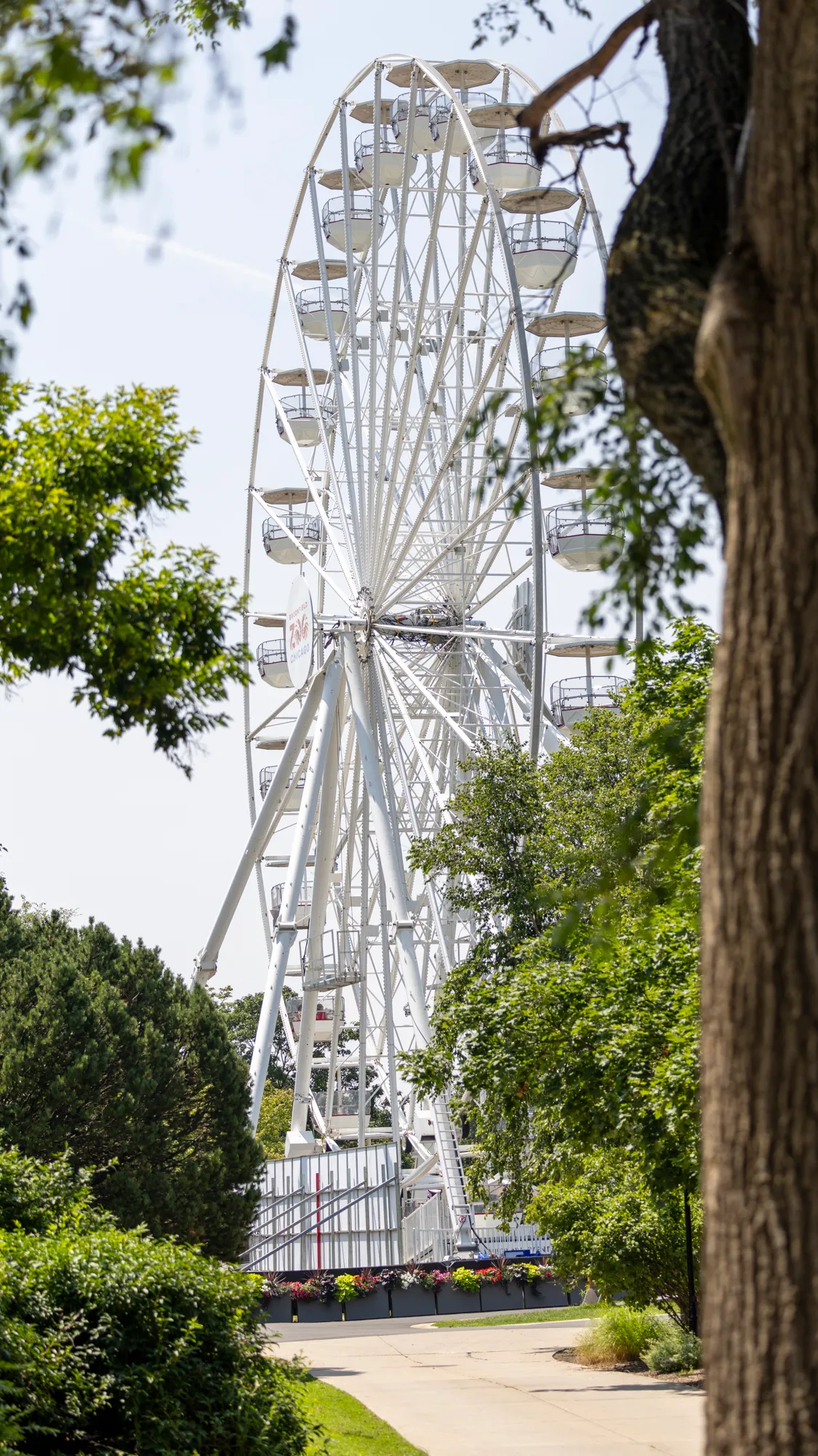 the main ferris wheel at brookfield