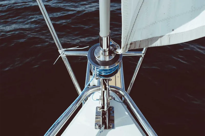 Cover image for Sample Gallery