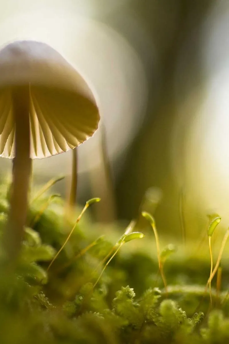 Sample portrait orientation photo